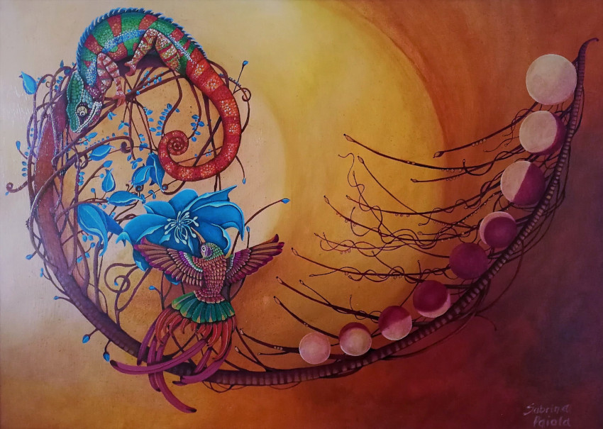 Spirale di Fibonacci