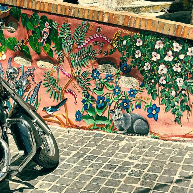 Murale Esterno Flora Fauna