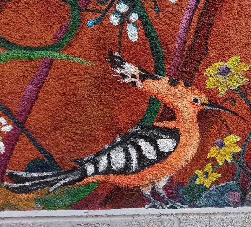 Dipinto Upupa su muro