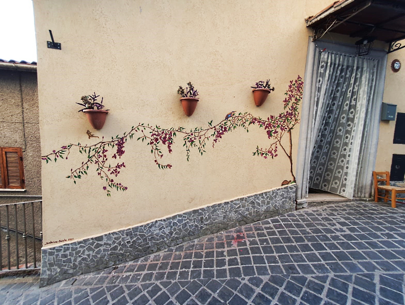 Bouganvillea su muro esterno